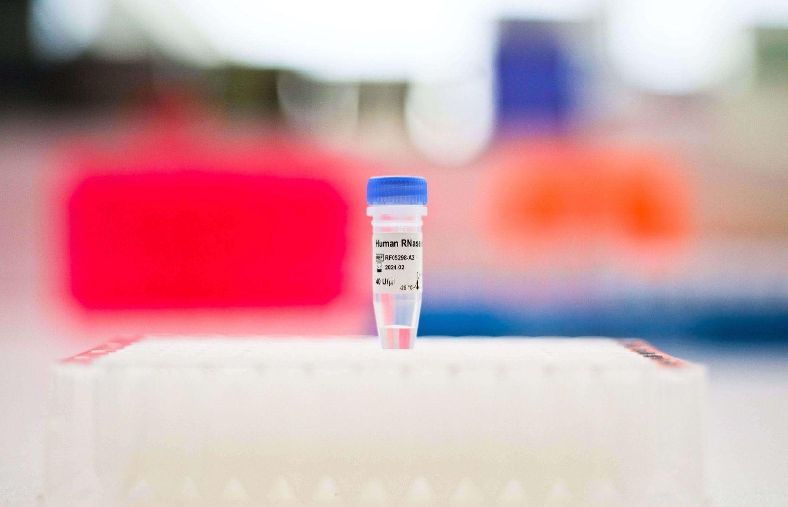 DB RNase Inhibitor Human (DB-1259)