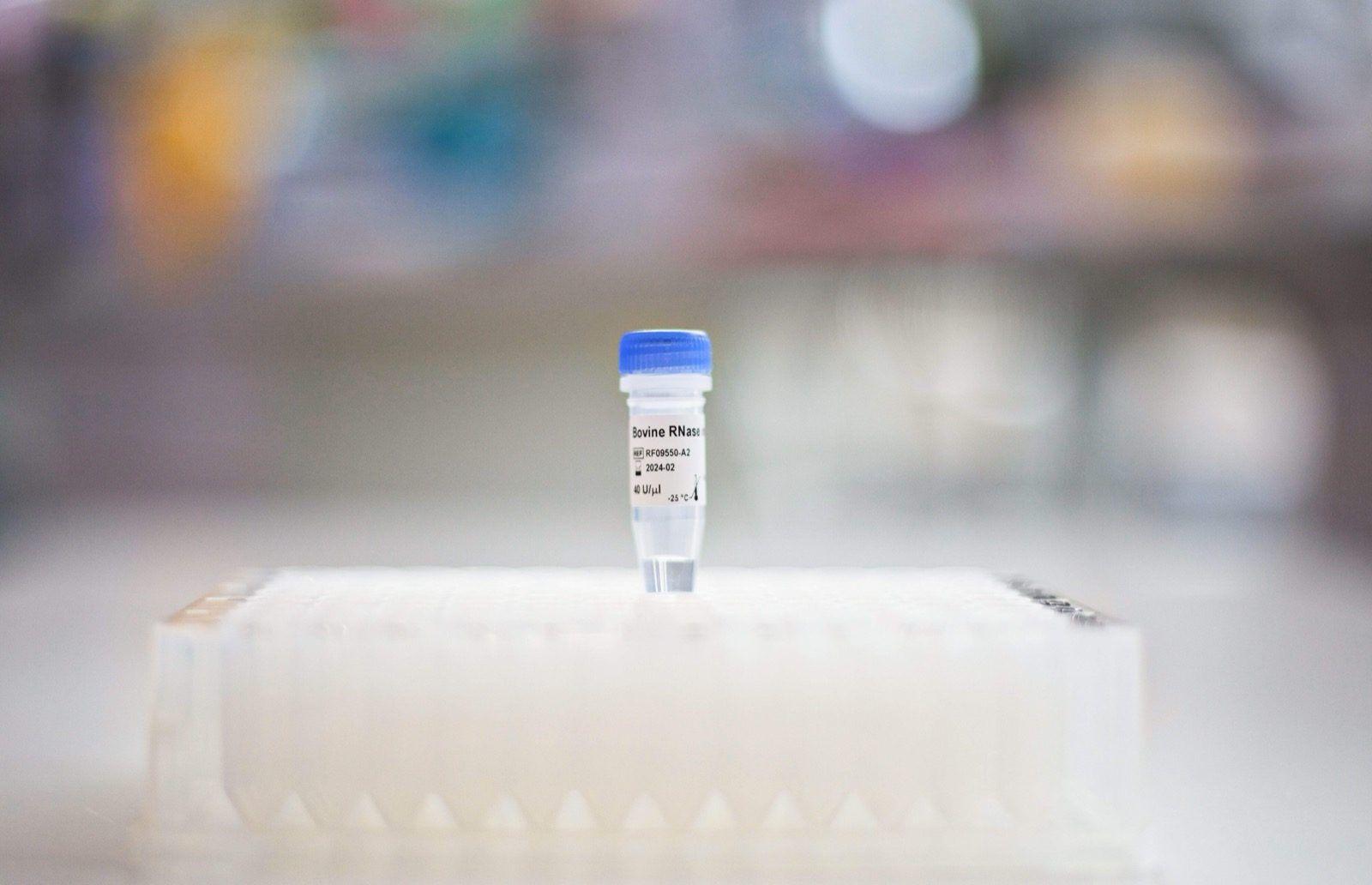 DB RNase Inhibitor Bovine (DB-1260) tube