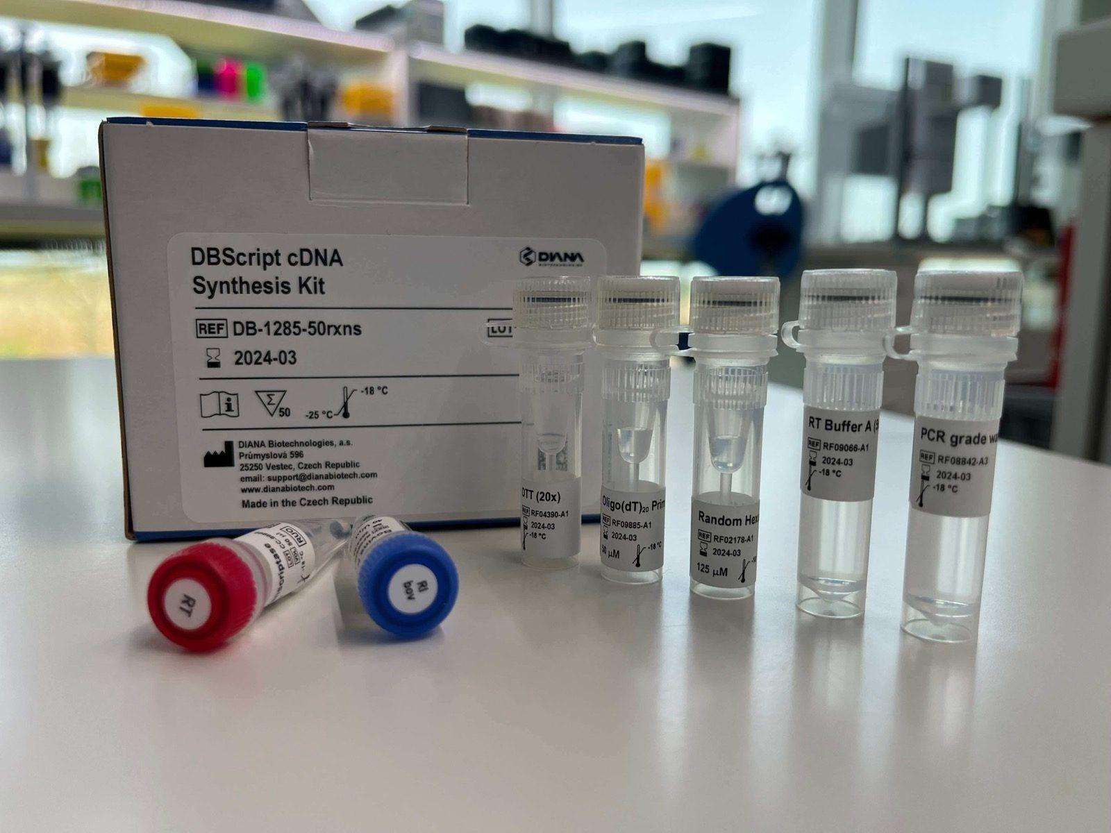 DBscript cDNA Synthesis Kit (DB-1285) kit box and tubes