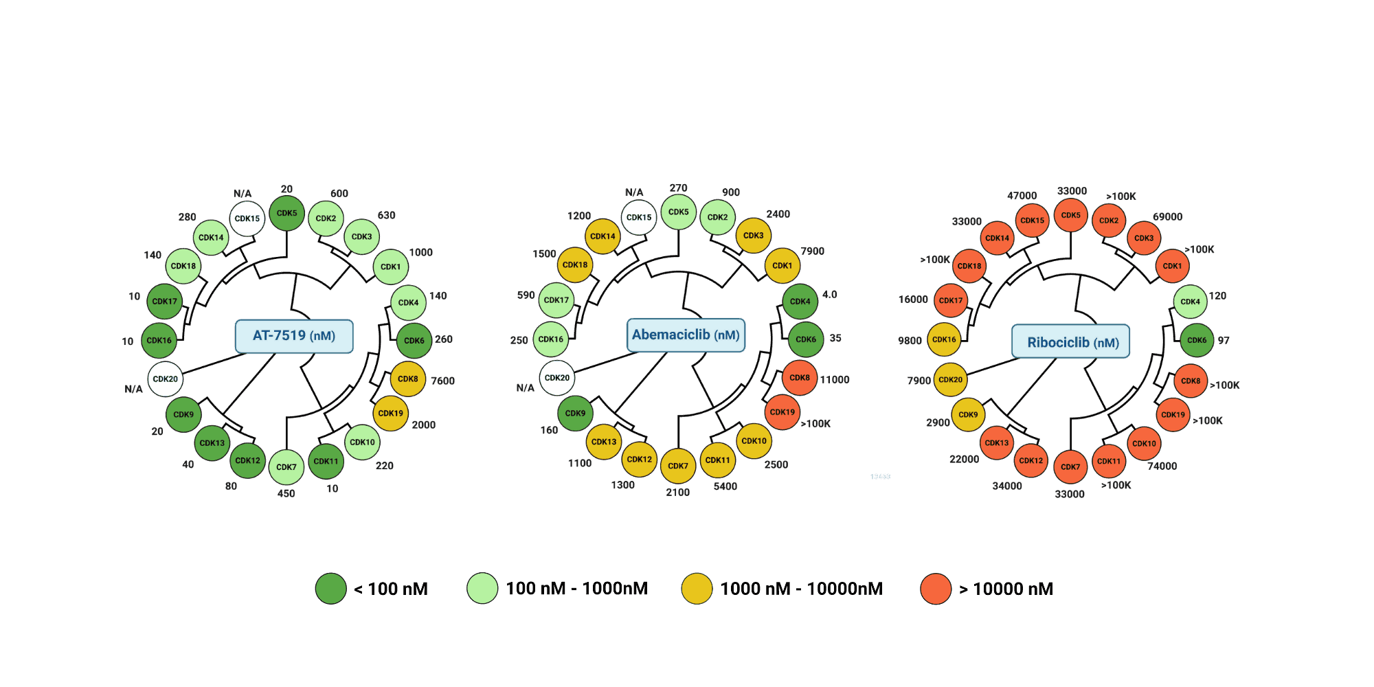 Selectivity profiles of CDK inhibitors across the DIANA CDK Panel